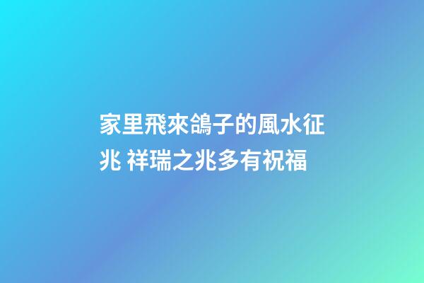 家里飛來鴿子的風水征兆 祥瑞之兆多有祝福